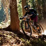 Reve De Poetes * Bagimont