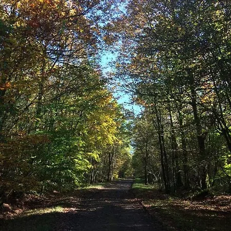 Prázdninový dům Reve De Poetes