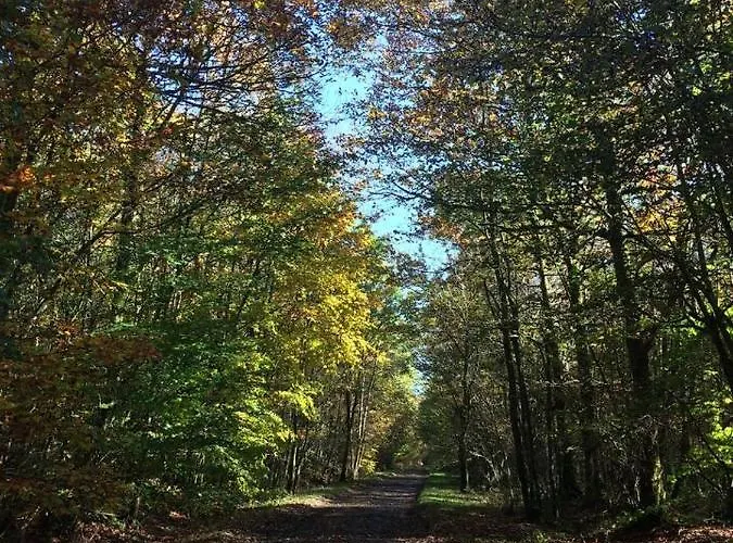 Ferienhaus Reve De Poetes